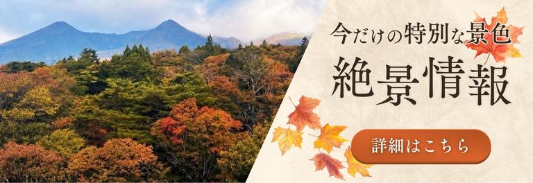 紅葉情報